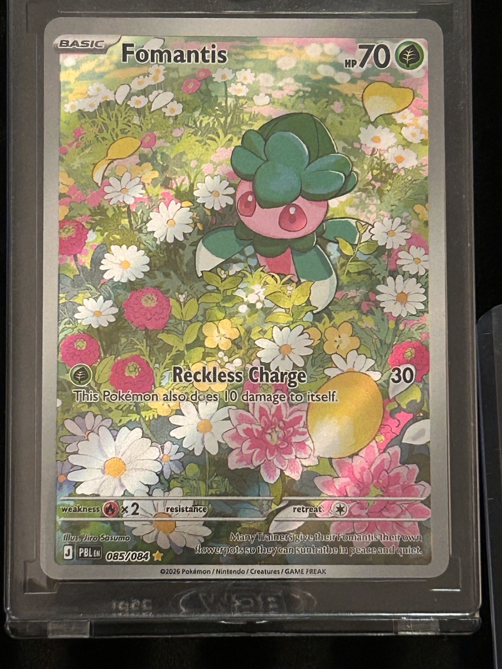Pokémon TCG Fomantis Full Illustration plus Bonus Cards - Picture 2 of 3